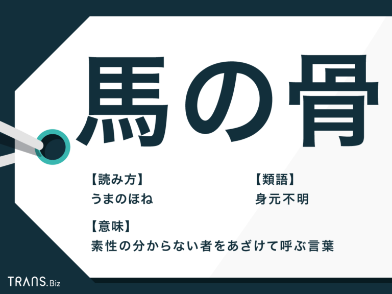 「馬の骨」の意味とは？語源や使い方・類語を紹介【例文付き】