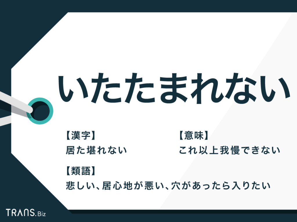 いたたまれない かわいそう