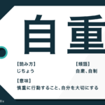 庇護 の意味と使い方は 擁護 保護 加護 との違いや類語も Trans Biz