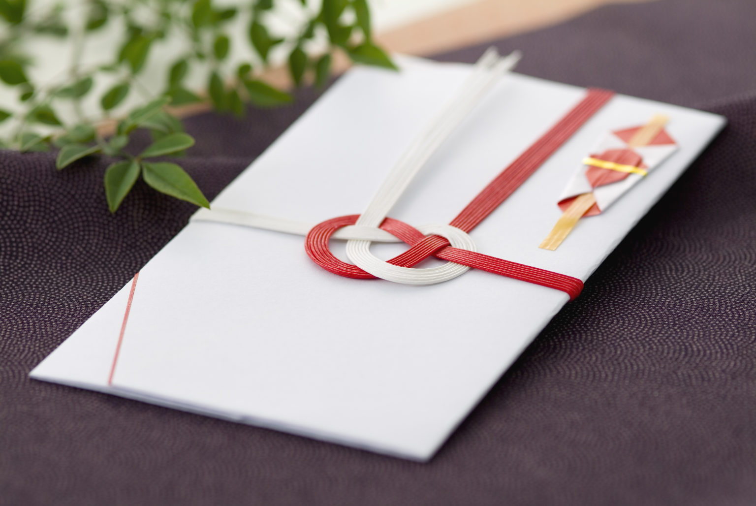 「玉串料」の意味とは?”のし”の書き方・葬儀やふくさについても | TRANS.Biz