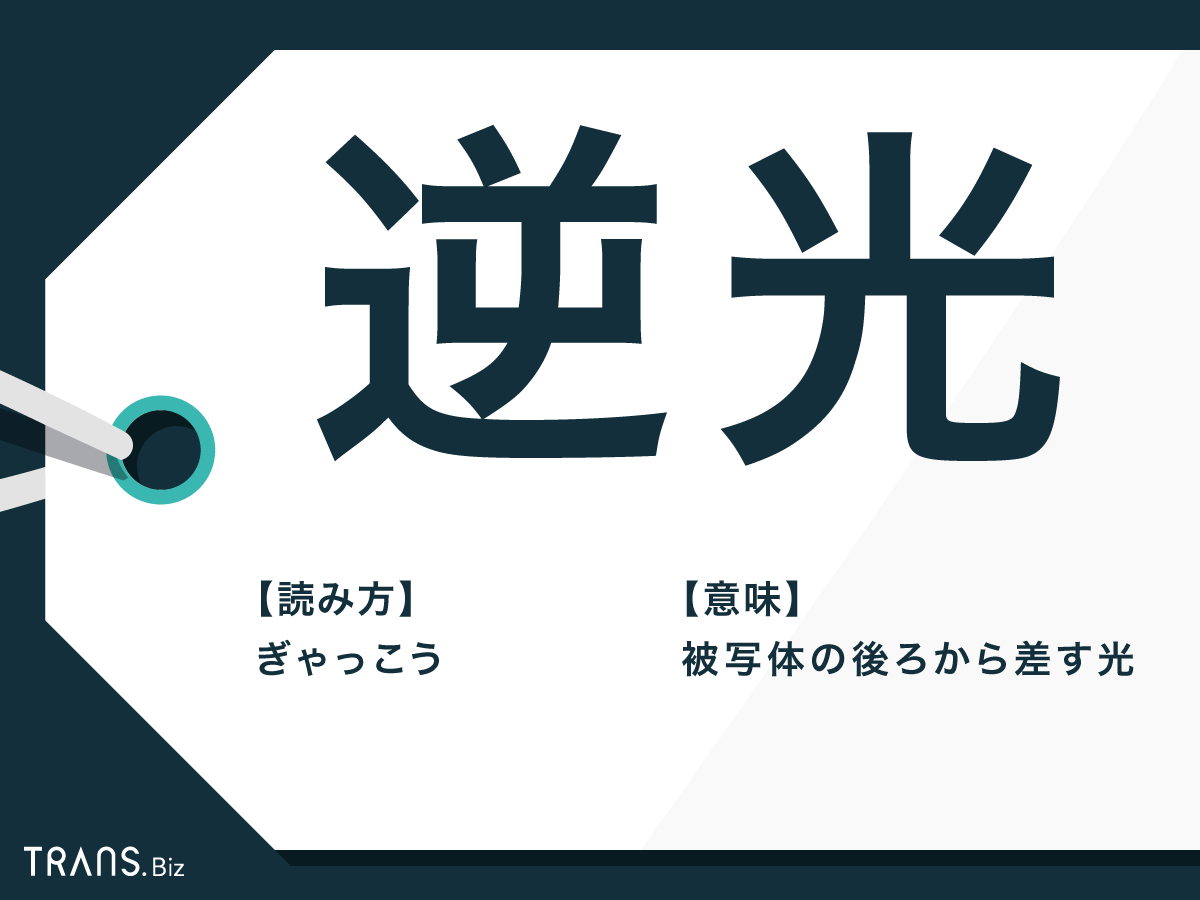 逆光 の意味や仕組みは 逆光写真の直し方やアプリでの撮り方も Trans Biz