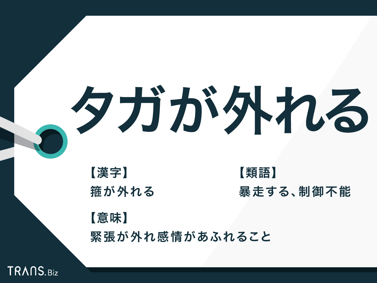 タガ が 外れる と は