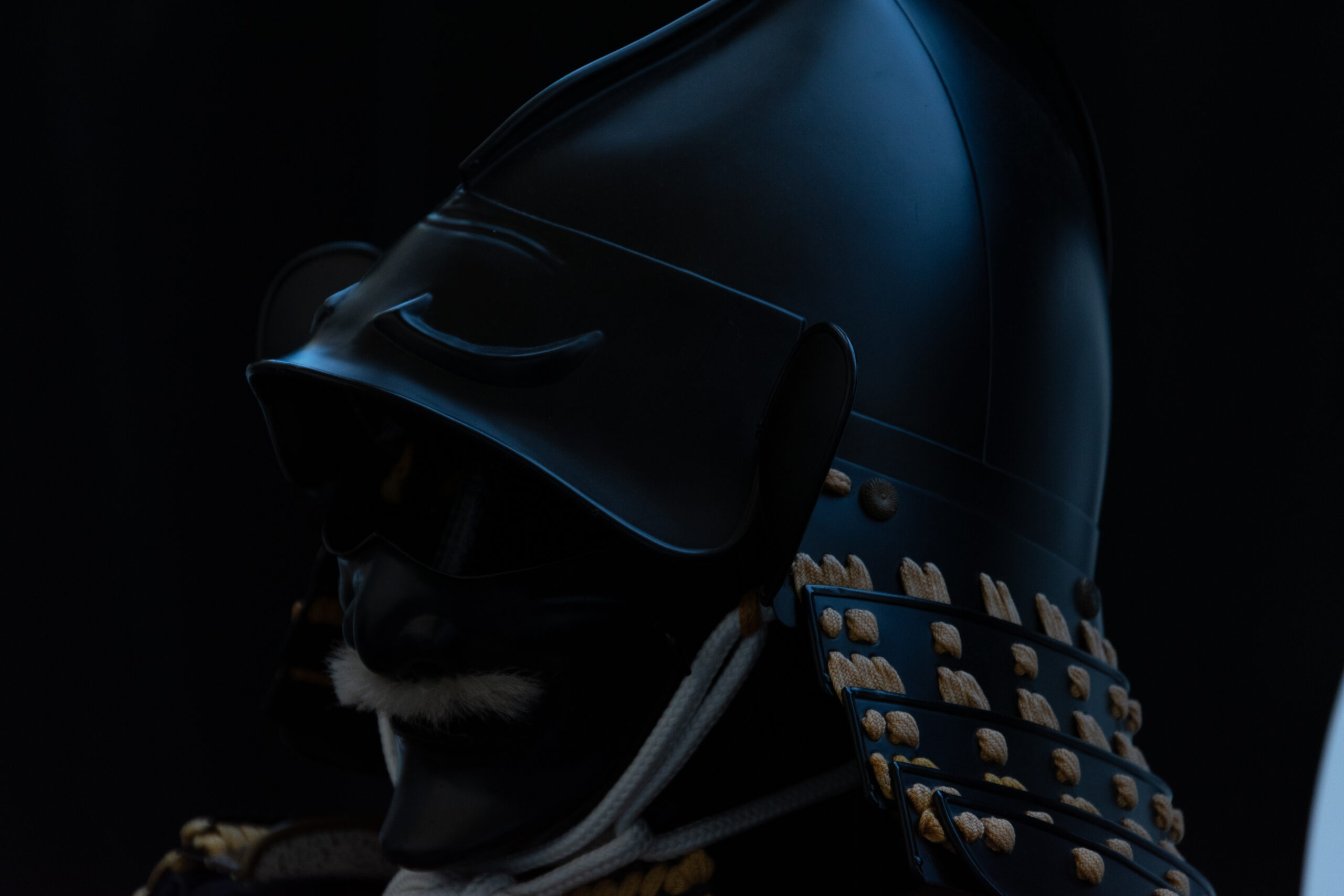 「漆黒」の意味と使い方とは？類語・言い換え表現や「漆黒色」についても解説 | TRANS.Biz