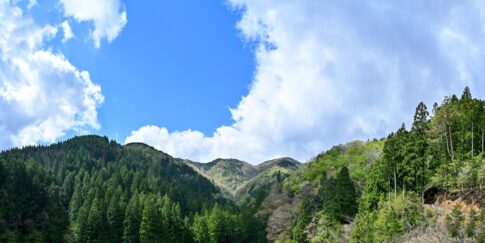 日本語表現 Trans Biz Part 6