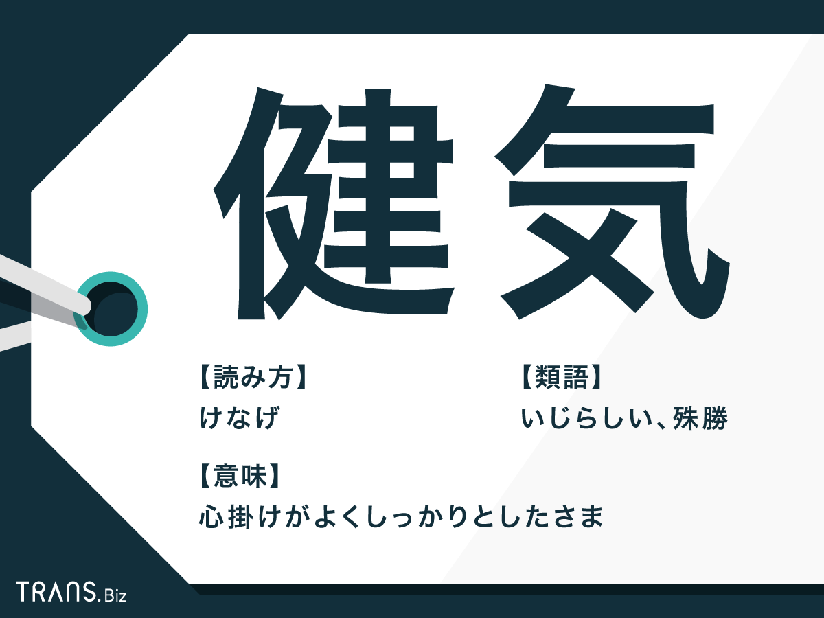 健気 とは褒め言葉 意味と使い方や類語 対義語も例文で解説 Trans Biz