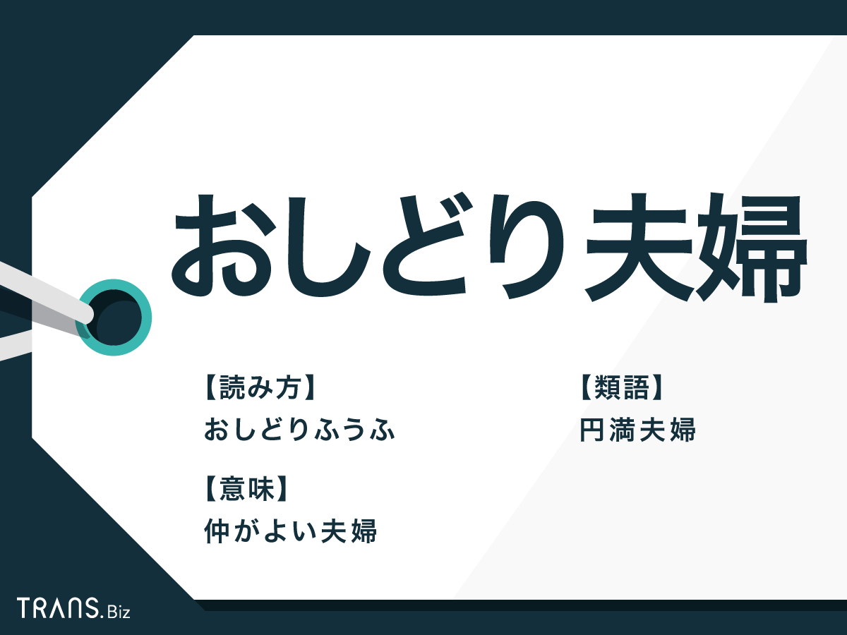 おしどり夫婦 の意味と由来とは 類語や特徴 円満の秘訣も紹介 Trans Biz