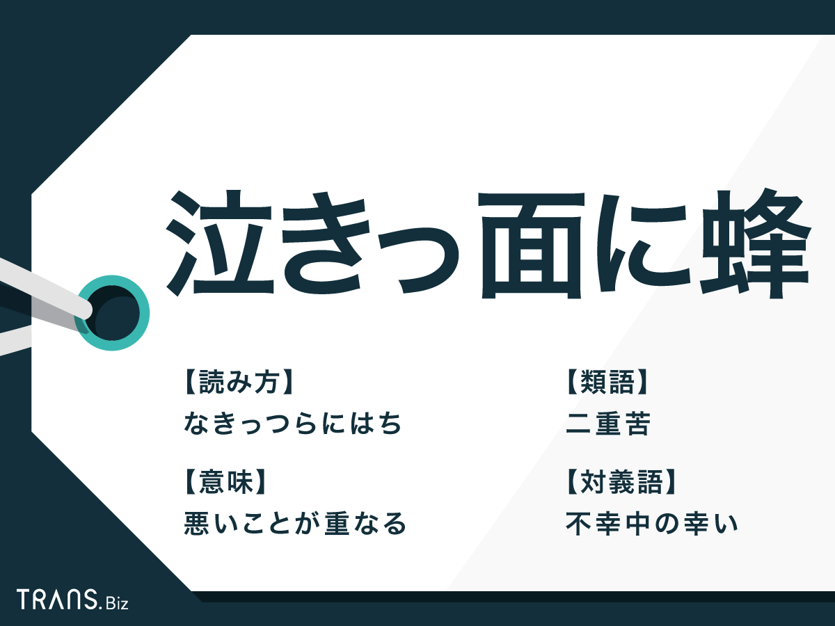 泣きっ面に蜂 の意味や由来とは 似たことわざと対義語の例文も Trans Biz