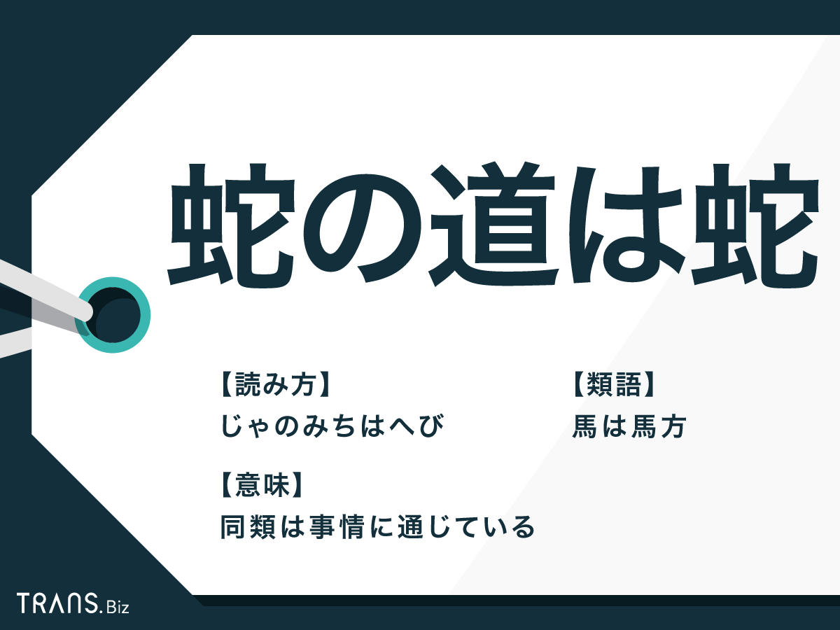 蛇の道は蛇 とは悪い意味 由来や 餅は餅屋 との違いも解説 Trans Biz