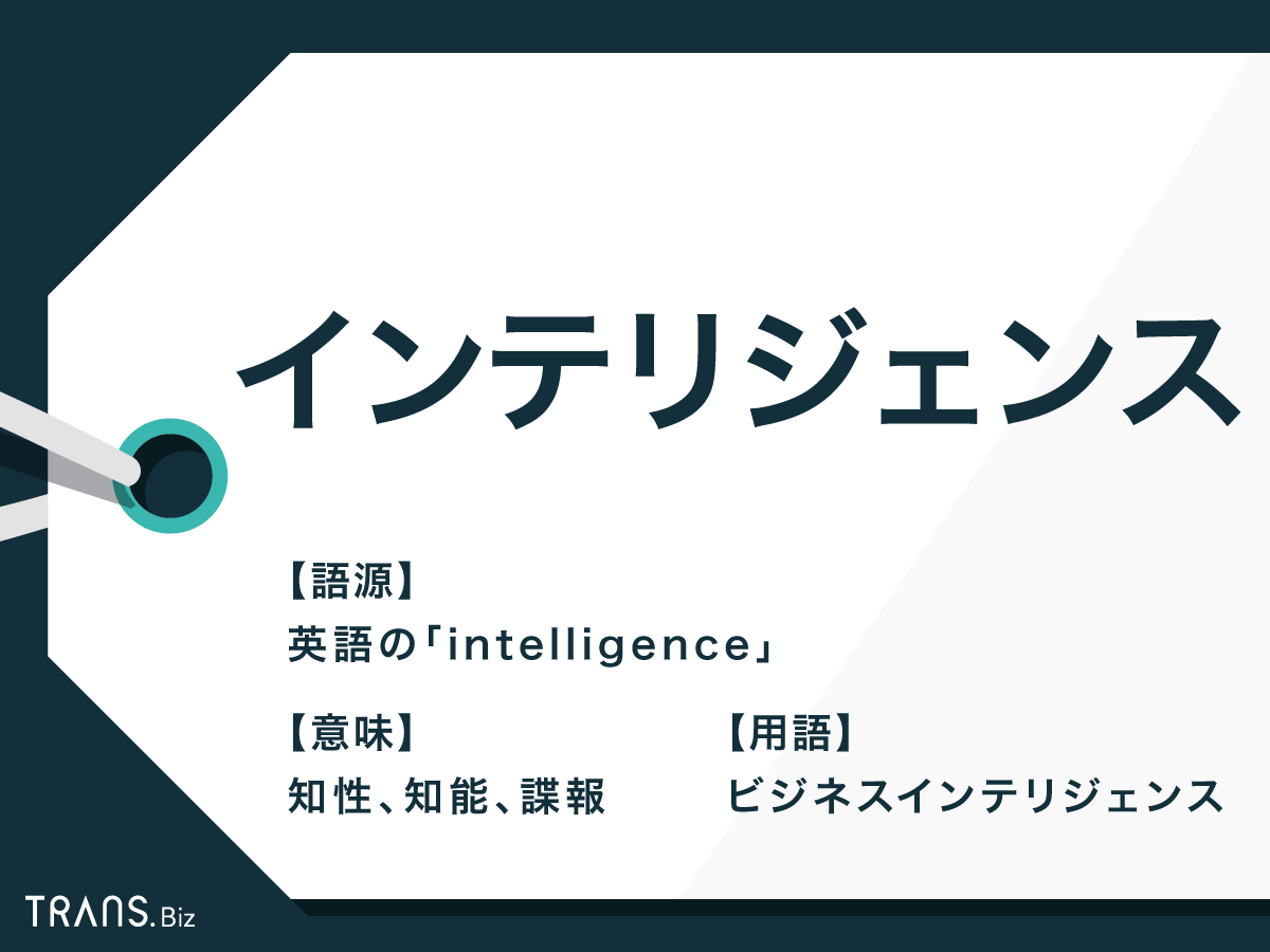 インテリ と は
