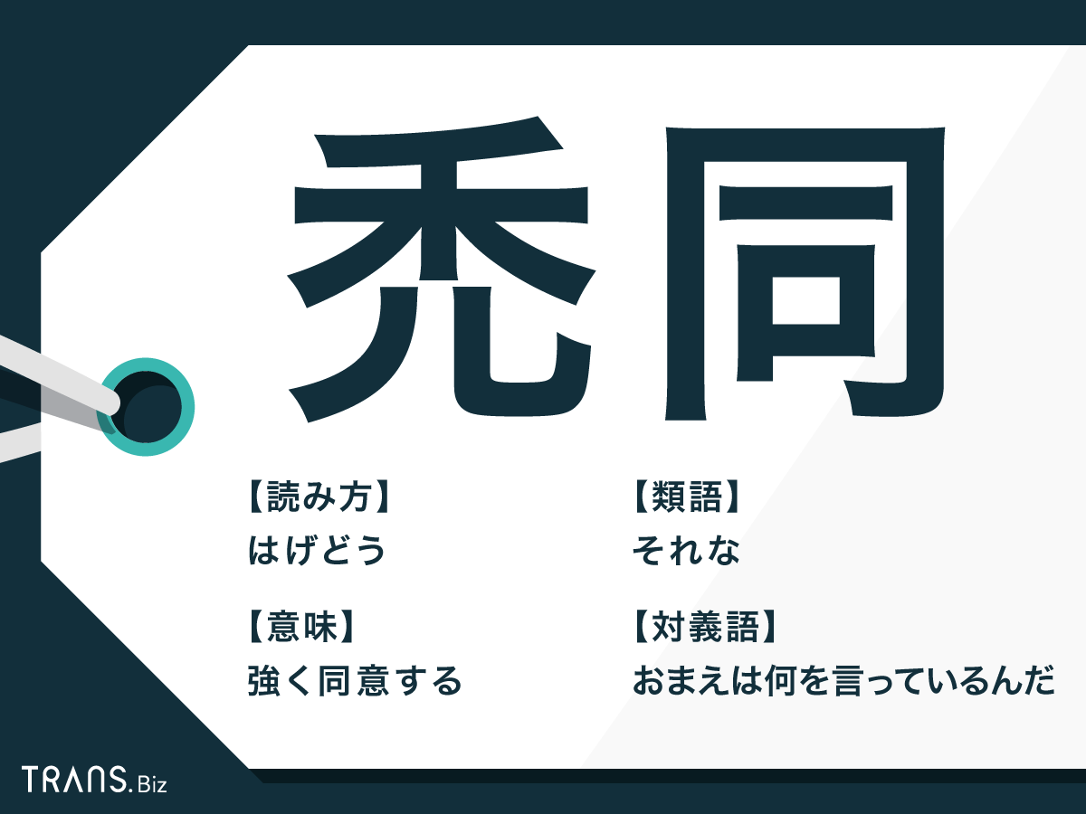 禿同 の読み方や意味とは 語源 類語や英語のスラングも紹介 Trans Biz