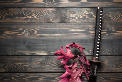 「武衛」とは?鎌倉時代に呼びかけで使う意味や読み方・武衛騒動も