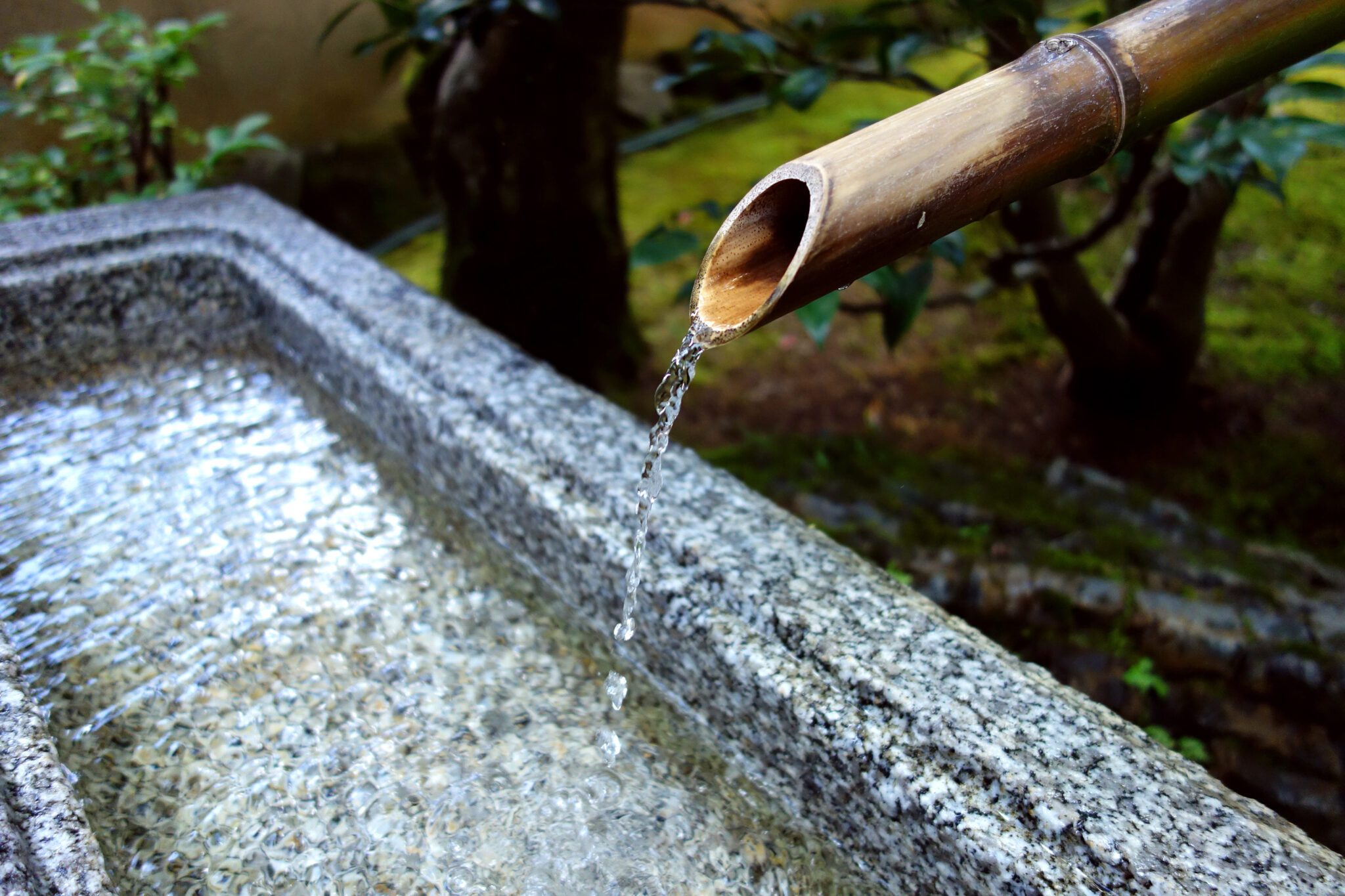 「冷や水を浴びせる」の意味とは?「水を差す」との違いや類語も | TRANS.Biz